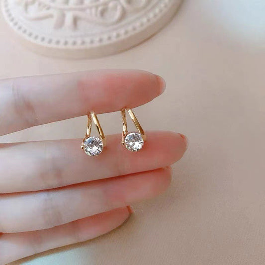Fashionable and luxurious earrings